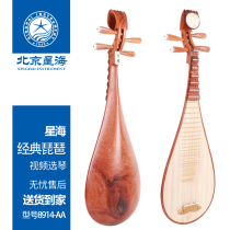 Beijing Starfish Pipa 8914-AA Acid Branch Wood Polished Wood Shaft Wood Phase Pipa Professional Playing Grade Musical Instrument