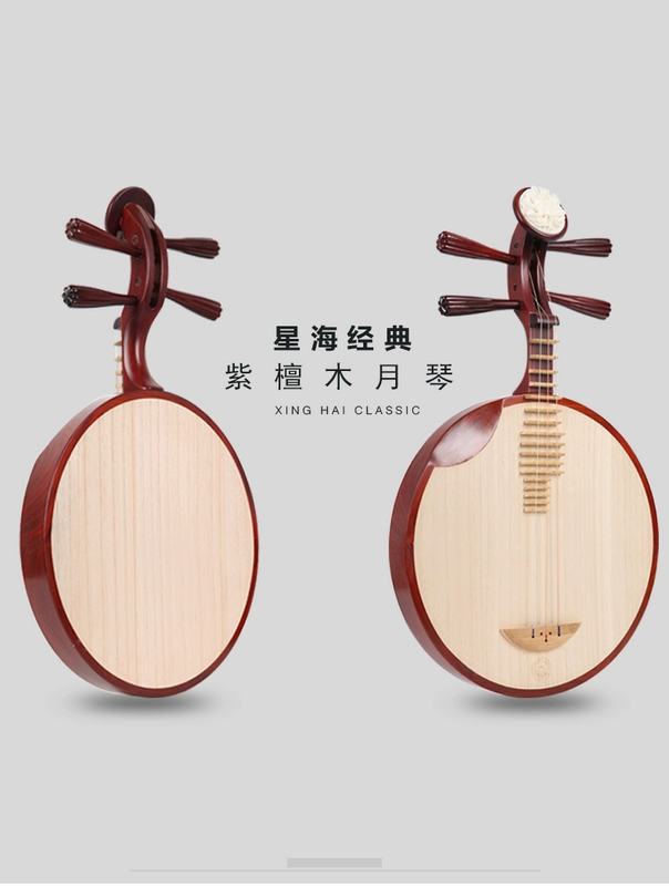 Bắc Kinh Xinghai Yueqin 8212 Gỗ hồng mộc châu Phi màu yueqin Nhạc cụ Bắc Kinh Opera nhạc cụ chơi nhạc chuyên nghiệp - Nhạc cụ dân tộc