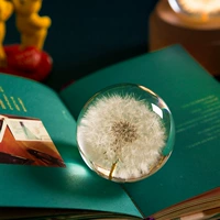 Украшения из хрустальных шаров из одуванчика, креативные образцы растений, подарки на день рождения для девочек, настольные пресс-папье из стеклянных шаров для лучших друзей