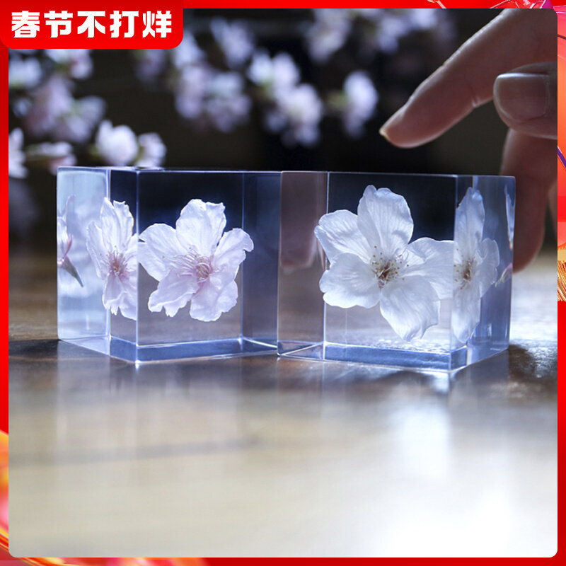 Zhou solacube universe cubic cherry blossom dandelion plant specimen ornaments valentine's day birthday gift female Japan