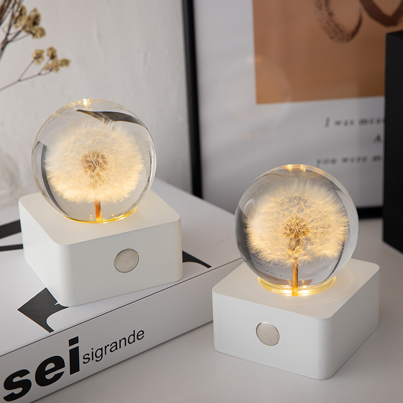 Dandelion Specimen Dry Flower Charging Small Night Light Creative Girl Gifts Swing Piece Birthday Send Girlfriend Goddess Table White-Taobao