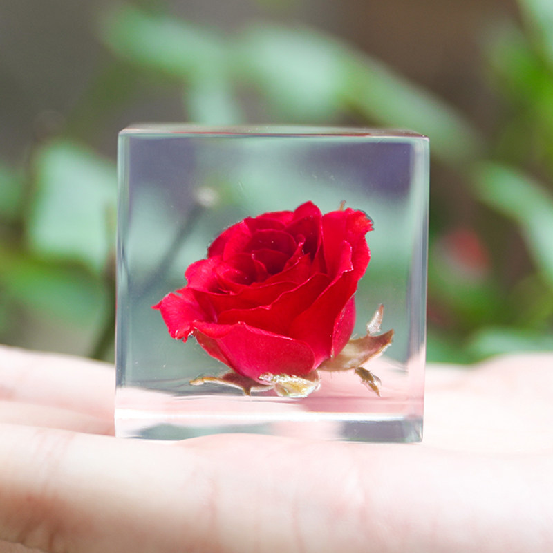 Zeus Solacube Japan Plant Cube Rose Specimens Creative Birthday Gifts 520 Valentine's Day Girls