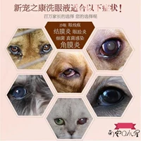 Yêu thích mới Kang Kang dog eye eye trachoma viêm kết mạc viêm mắt nhỏ ngoài nước mắt mí mắt chống viêm - Thuốc nhỏ mắt thuốc nhỏ mắt rohto nhật