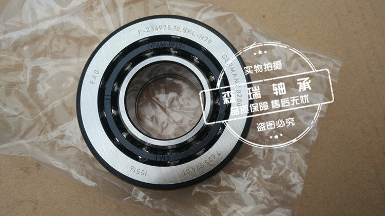 BMWX5 rear differential bearing F-234975 10 SKL-H79 German FAG Import bearings