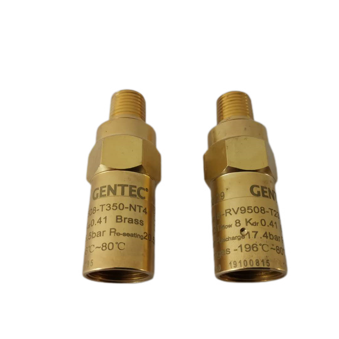 Duva Bottle Accessories Duva Bottle Shanghai Czech Sharp Safety Valve Spring Type Cryogenic Safety Valve Gas Valve Accessories