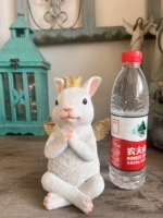 Коронный кролик новый очистка