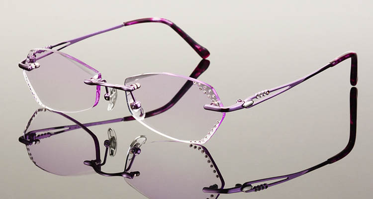 Montures de lunettes en Titane pur - Ref 3140508 Image 18