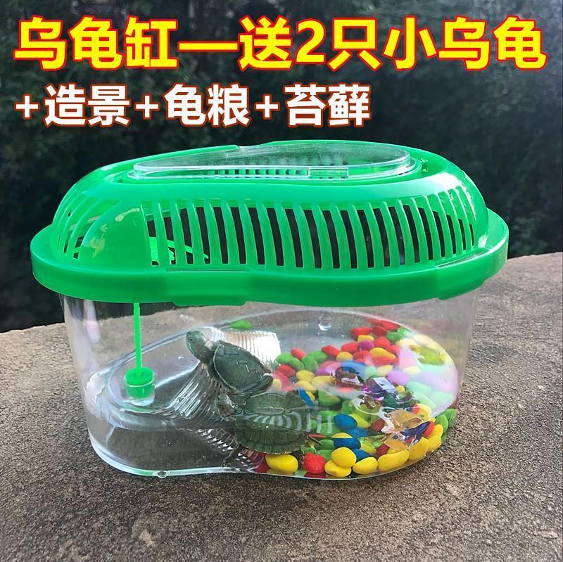 Turtle tank Send 2 small tortoises Brazilian tortoises Turtle tank with sun table Multi-size turtle basin Pet box Children's gift