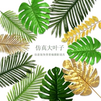 Turtle back leaves birthday party decoration ins Nordic style decoration green plant wall wedding dress