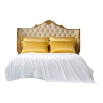 Wanshili 100% Mulberry Silk Autumn and Winter Quilt Air Conditioner Suitable for All Seasons Gold Label Upgraded Pure Silk Quilt-Winter Collection