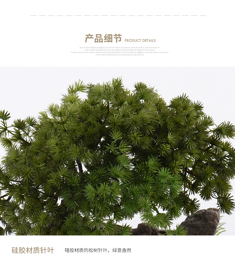 New Chinese style guest - the greeting pine bonsai place dry landscape example room micro landscape, green plant ceramic pot home decoration