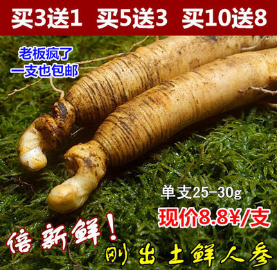 Fresh ginseng whole branches of fresh ginseng in Changbai Mountain in Northeast China now dug with soil, fresh ginseng soup and wine 1 stick