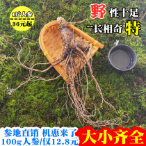 Now dig northeast Jilin deep mountain ginseng Changbai Mountain with soil fresh ginseng soup brew wine brew tea can be dried ginseng