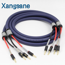 Xangsane elephant God SP-600-II fever grade HIFI oxygen-free copper 5 5 5 square * 2 sound Line Horn wire