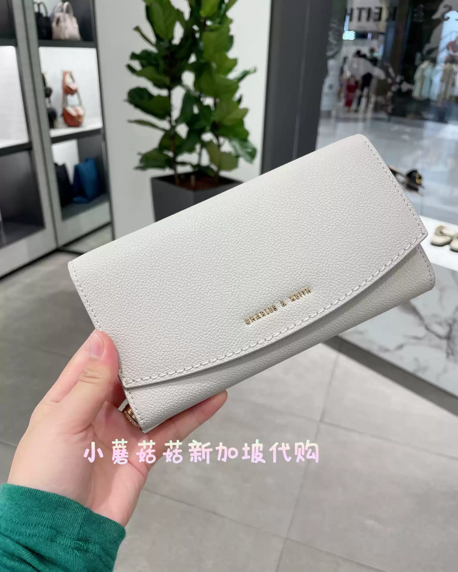 CHARLES KEITH合成革錢包小CK長款多卡位錢包按扣設計長錢包-Taobao-Tmall