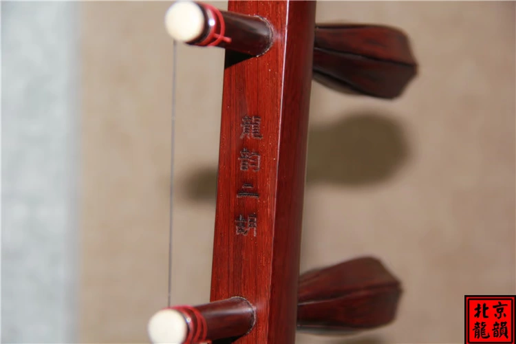 Longyun Erhu Nhạc cụ Nhà máy Cửa hàng Fine Rosewood Erhu Số 09b100 - Nhạc cụ dân tộc