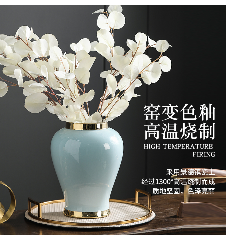 Jingdezhen creative the general pot of furnishing articles of modern new Chinese style porch ark, dried flower vase decoration home decoration