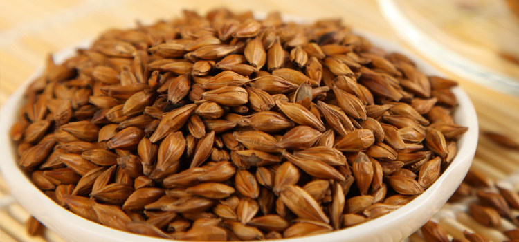 Great Wheat Tea Barley Bud Tea Flower Tea Han Style Original Taste Baking Bulk Selection 500 gr-Taobao