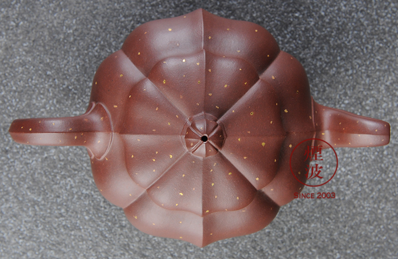 Pure checking made those yixing it Wu Lin, leng the qing cement gold aggregates kung fu tea 400 ml