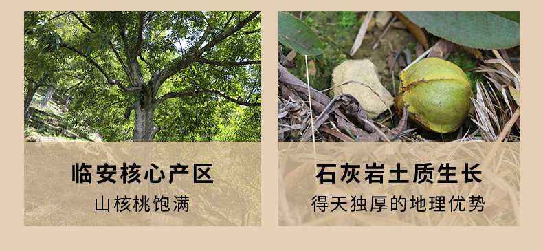 来伊份 临安山核桃仁 388g 图5