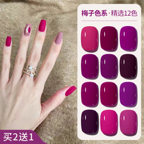 Plum color nail polish glue 2022 new popular color rose red white nail shop special phototherapy nail polish glue