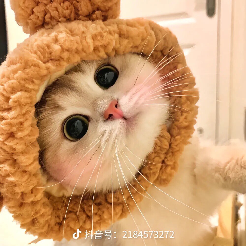 诗诗尚品