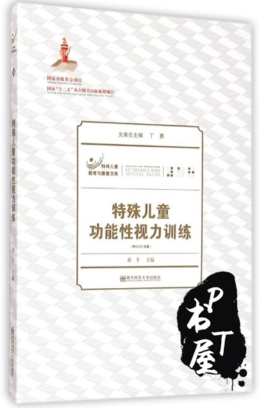 特殊儿童功能性视力训练 Book Cover