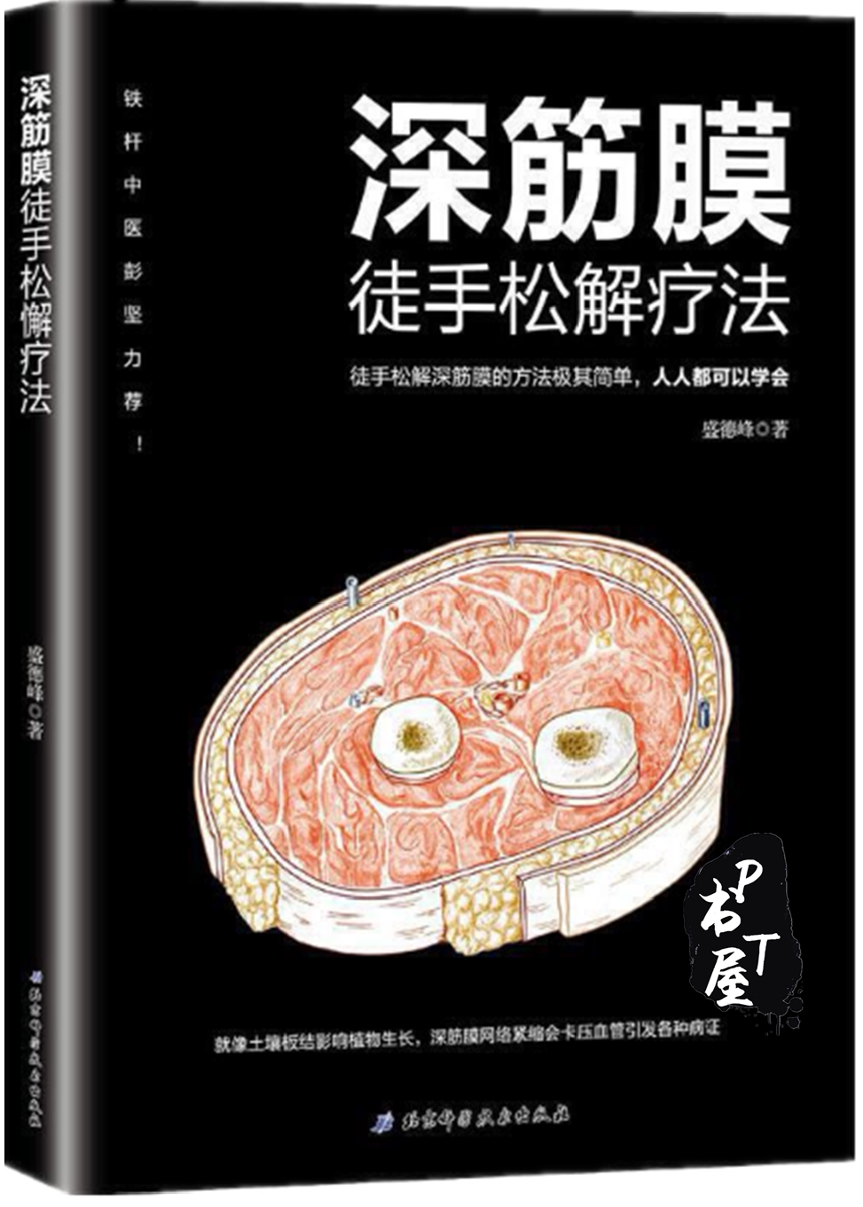 深筋膜徒手松解疗法 Book Cover