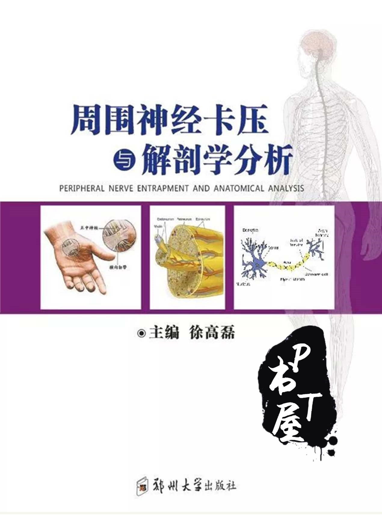 周围神经卡压与解剖学分析 Book Cover
