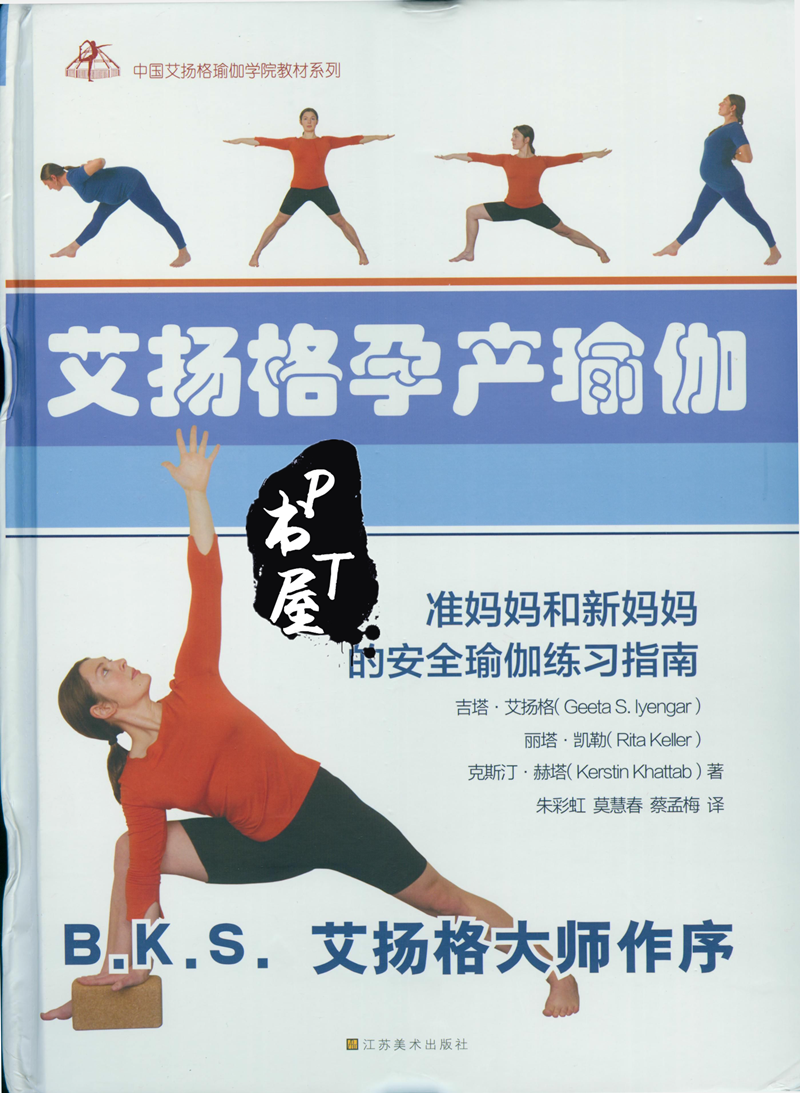 艾杨格孕产瑜伽 准妈妈和新妈妈的安全瑜伽练习指南 Book Cover