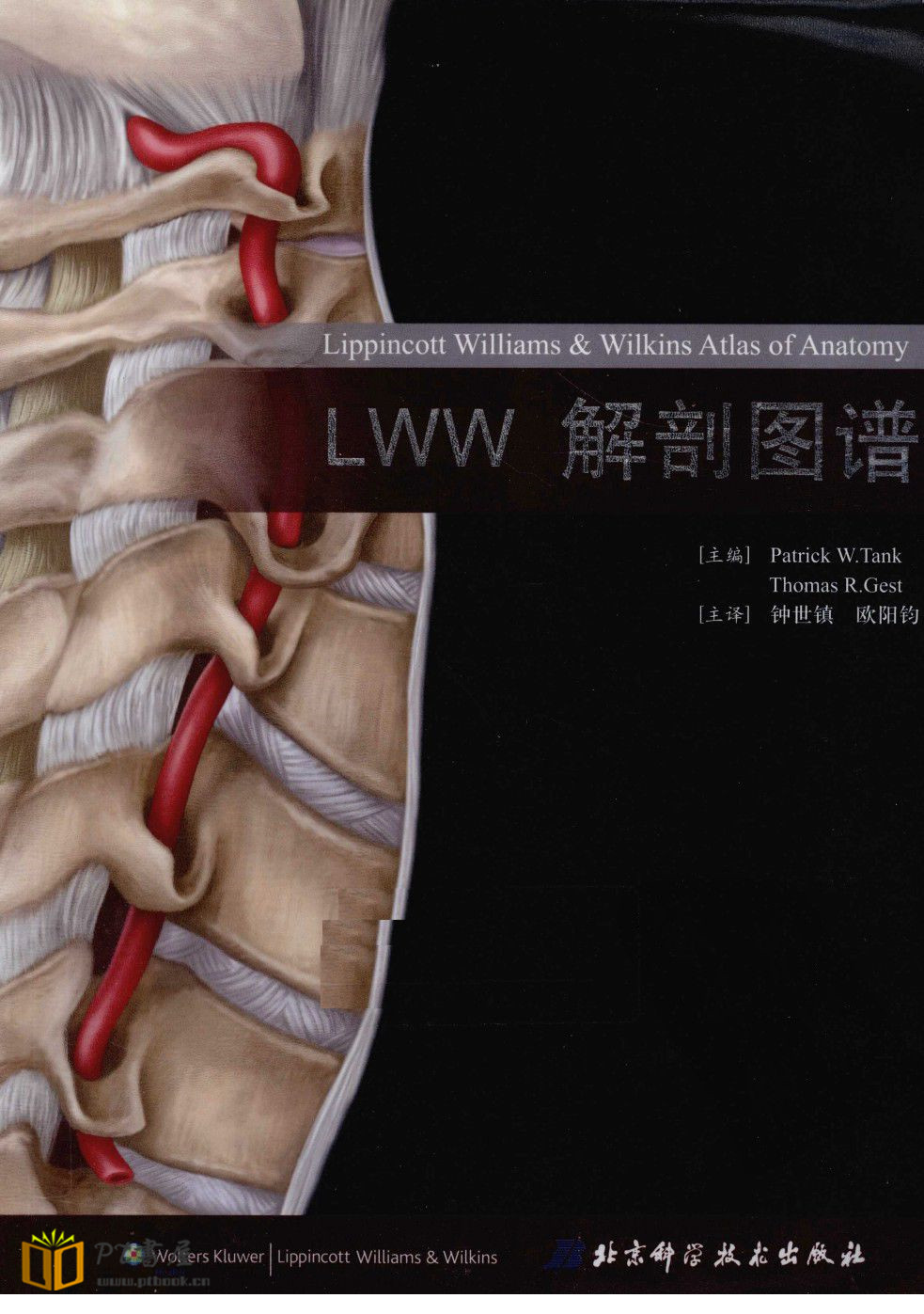 LWW解剖图谱 Book Cover