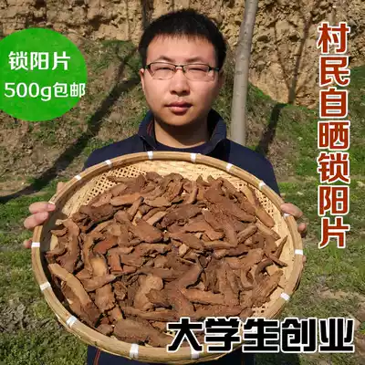 Xiaoding farm cynomorium songaricum Rupr 500g