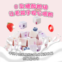 Fruit yogurt freeze-dried pet dog fruit yogurt cubes cat chewing probiotic snacks
