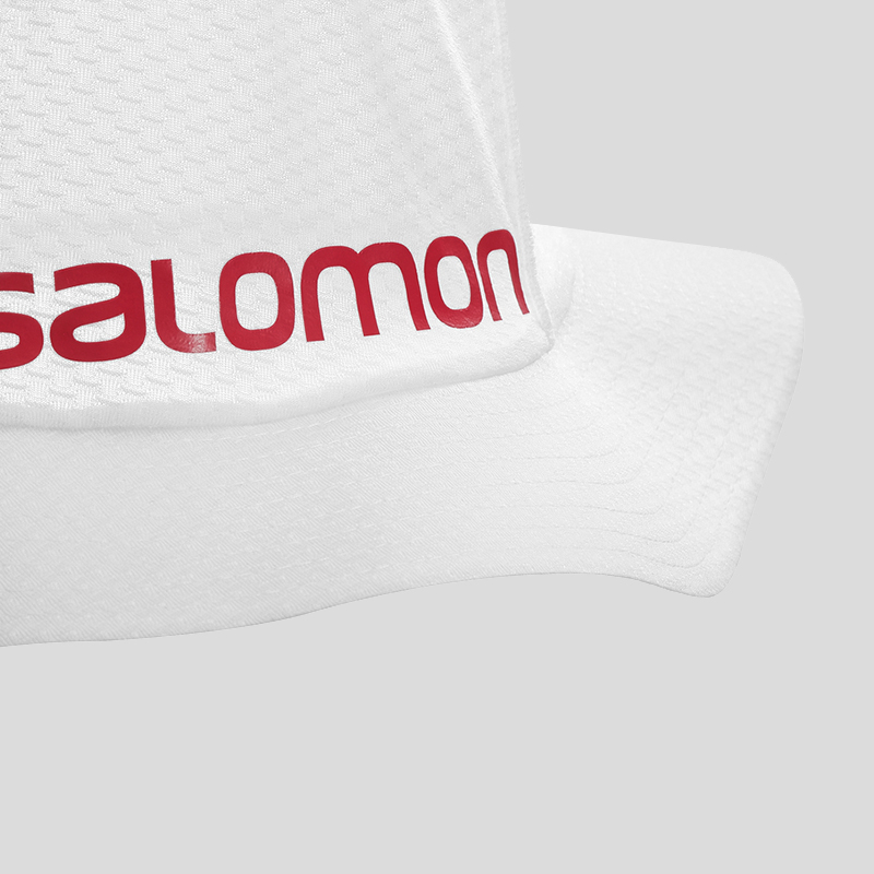 salomon speed bob