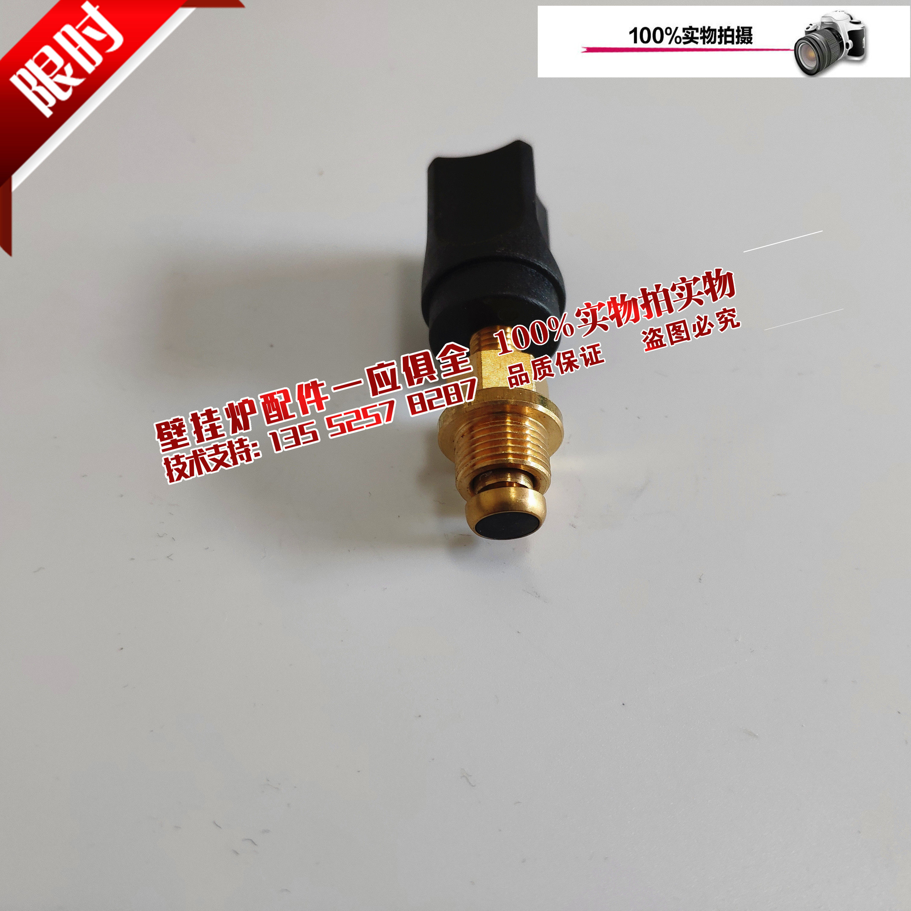 Hayton Immanokoven and Squirrel gas wall hanging furnace water - filling switch 