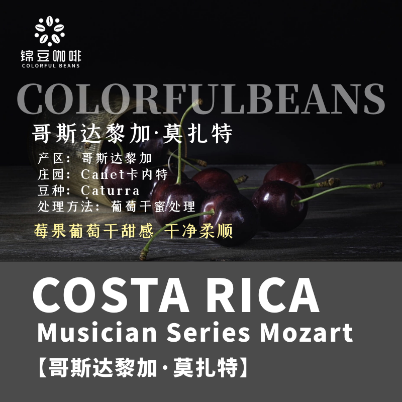 New Crop Season Costa Rica Canete Estate Mozart Raisin Honey-Processed Hand-Brewed Specialty Coffee Beans