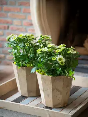 Hongyue Artstone imitation stone pattern Deka resin flowerpot Nordic imitation cement indoor balcony simple green plant Basin