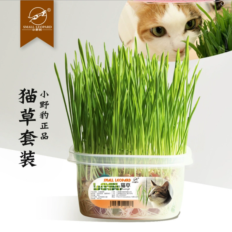 Con báo hoang dã nhỏ pha lê mèo cỏ phù hợp với mèo cỏ hạt giống nhổ lông bóng giúp tiêu hóa thức ăn nhẹ tự nhiên cho mèo - Đồ ăn nhẹ cho mèo