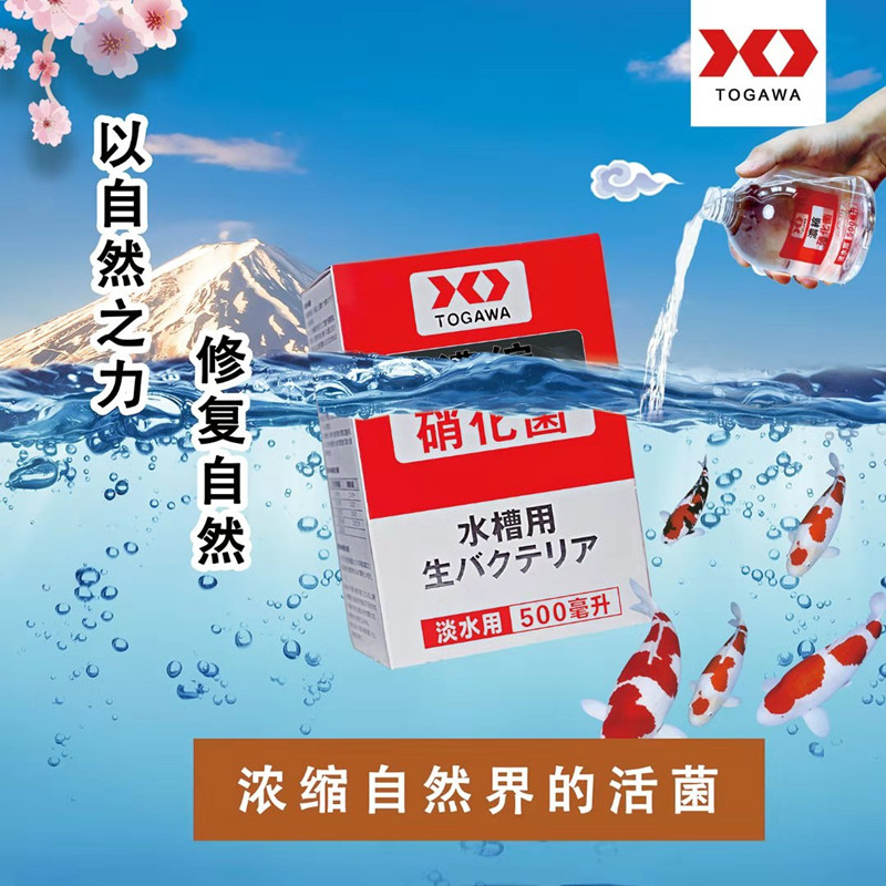 Japan ten Sichuan nitrobacteria Freshwater Fish Tank Bacteria fish fish Fish Stocks Digestive Bacteria Live Bacteria Water Stabilizer Vitamins