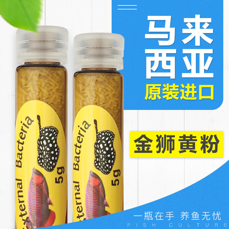 Malaysian Golden Lion to watch fish dragon fish Rohan's fortune fish goldfish Moneyred flesh and moldy yellow powder Japanese yellow powder-Taobao