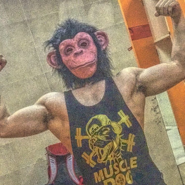 Animal headgear cos bull head orangutan horse husky funny dog ​​mask donkey Meng Wang Nima pretending to force animal mask