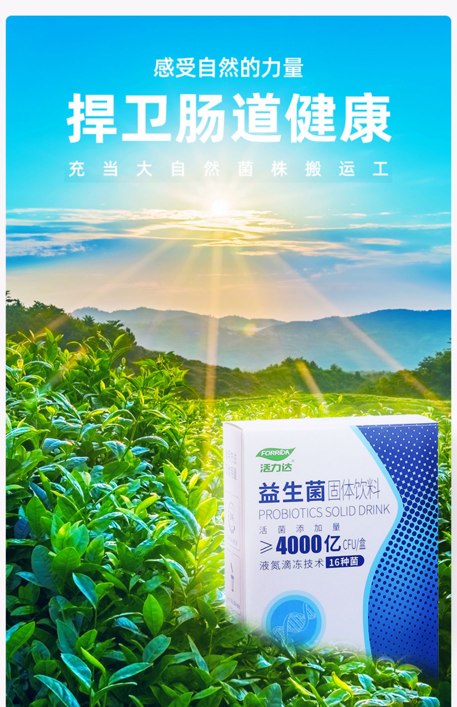 【活力达】4000亿益生菌冻干粉