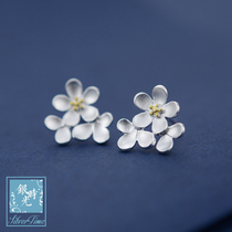Silver time S925 sterling silver earrings gold-plated cherry blossom plum blossom earrings fashion creative temperament flower earrings female