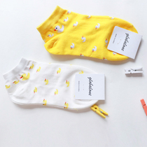 South Korea imported socks solid color simple cute cartoon little yellow duck printing women socks all cotton socks students spring and autumn
