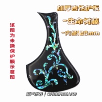 Eastman Eastman Folk Ballad Classical Wood Guitar Guard Plate Bezel Shells Thickened Life Tree Vines Non-Original Clothing