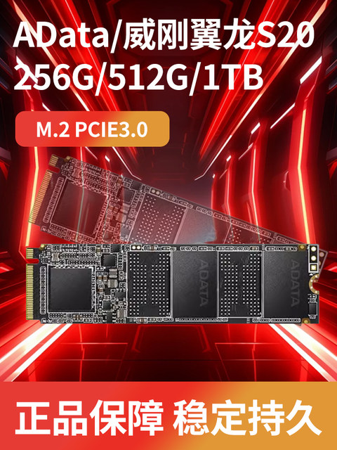 Adata Xpg Pterosaur S20 M.2 Solid State Drive Ssd Desktop Computer Notebook with Gaming Office High Speed