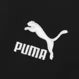 Puma, толстовка с круглым воротником, официальный продукт