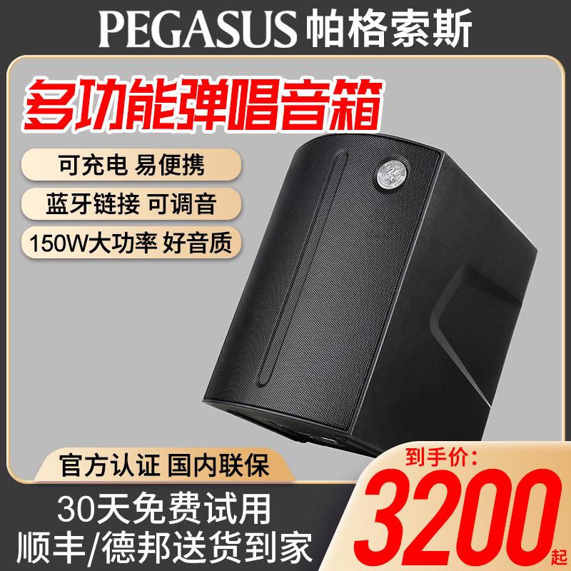 Pagsos PEGASUS multifunctional acoustic guitar speaker M1 pro portable rechargeable street singing stereo