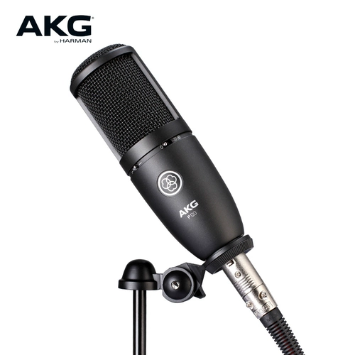 Профессиональный микрофон, ноутбук, наука и технология, P120, P220