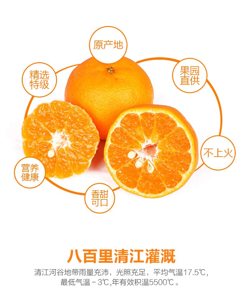 【最后18件大促】清江椪柑 特级40个礼盒装7
